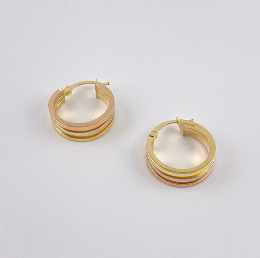 3 Tone Elegant Earring